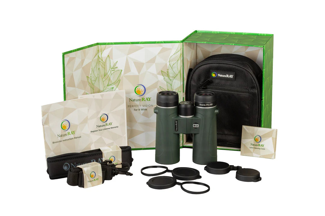 NatureRay Scenic Pro ED 10x42 Binoculars